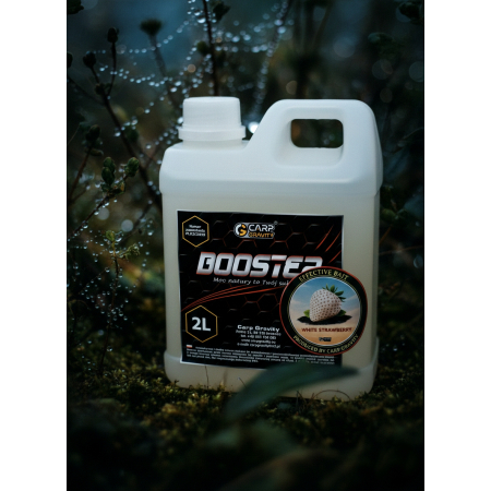 Booster White Strawberry 2000ml